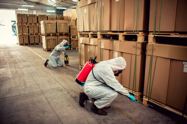 Best Commercial Pest Control Services  in Tierra Verde, FL