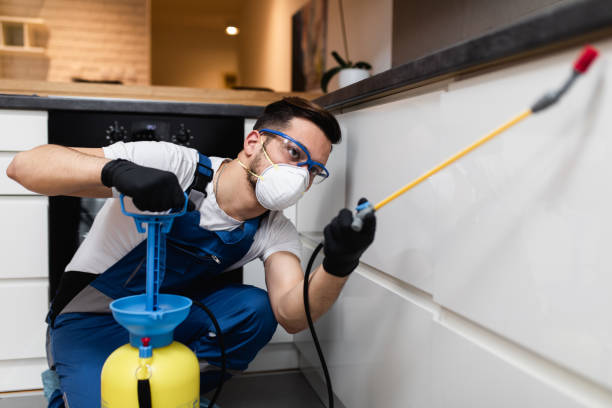 Best Pest Removal Services  in Tierra Verde, FL