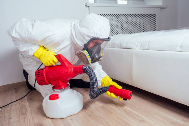 Flea Control Services in Tierra Verde, FL