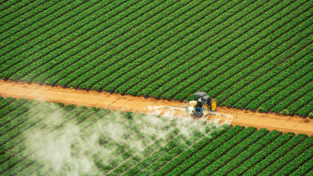 Pest Control for Restaurants in Tierra Verde, FL