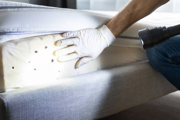 Best Commercial Pest Control Services  in Tierra Verde, FL