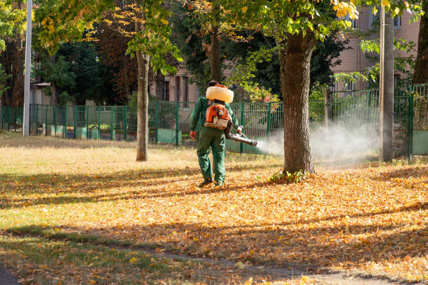 Reliable Tierra Verde, FL Pest Control Solutions