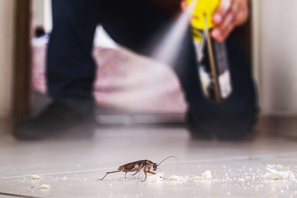 Best Pest Prevention Services  in Tierra Verde, FL