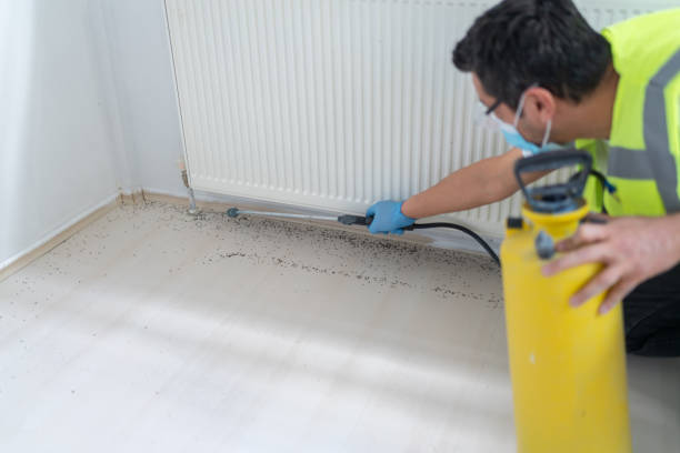 Best Commercial Pest Control Services  in Tierra Verde, FL