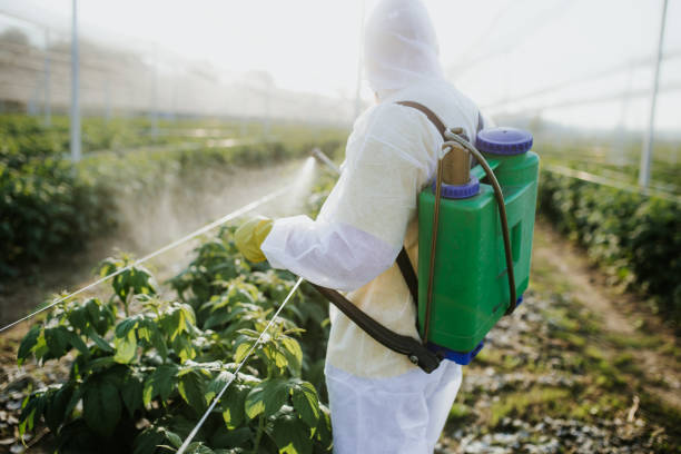 Best Emergency Pest Control  in Tierra Verde, FL